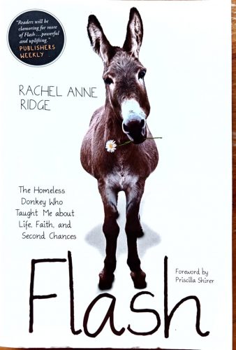 DEDIKLÁLT-  Rachel Anne Ridge: Flash The Homeless Donkey Who Taught Me About Life, Faith, and Second Chances