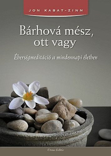 Jon Kabat- Zinn: Bárhová mész, ott vagy - Éberségmeditáció a mindennapi életben