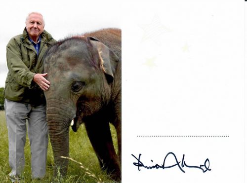 Signed photo by Sir David Attenborough 15x20 cm