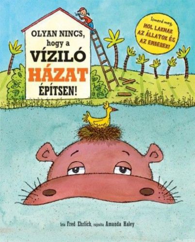 Olyan nincs, hogy a víziló házat építsen!