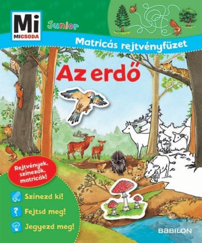 Mi micsoda matricás rejtvényfüzet-  Az erdő