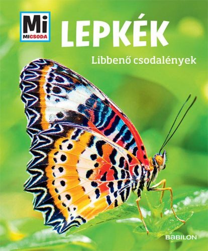 Lepkék - Mi MICSODA