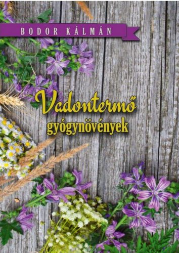 Vadon termő gyógynövények