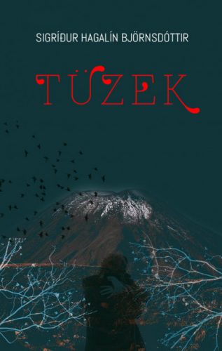 Tüzek