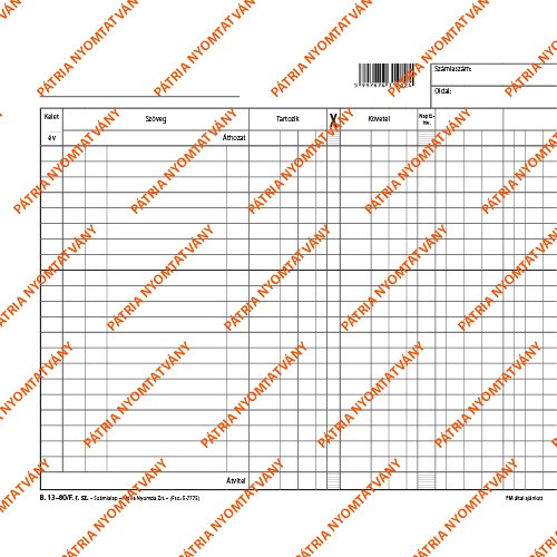 Számlalap 248x210 mm