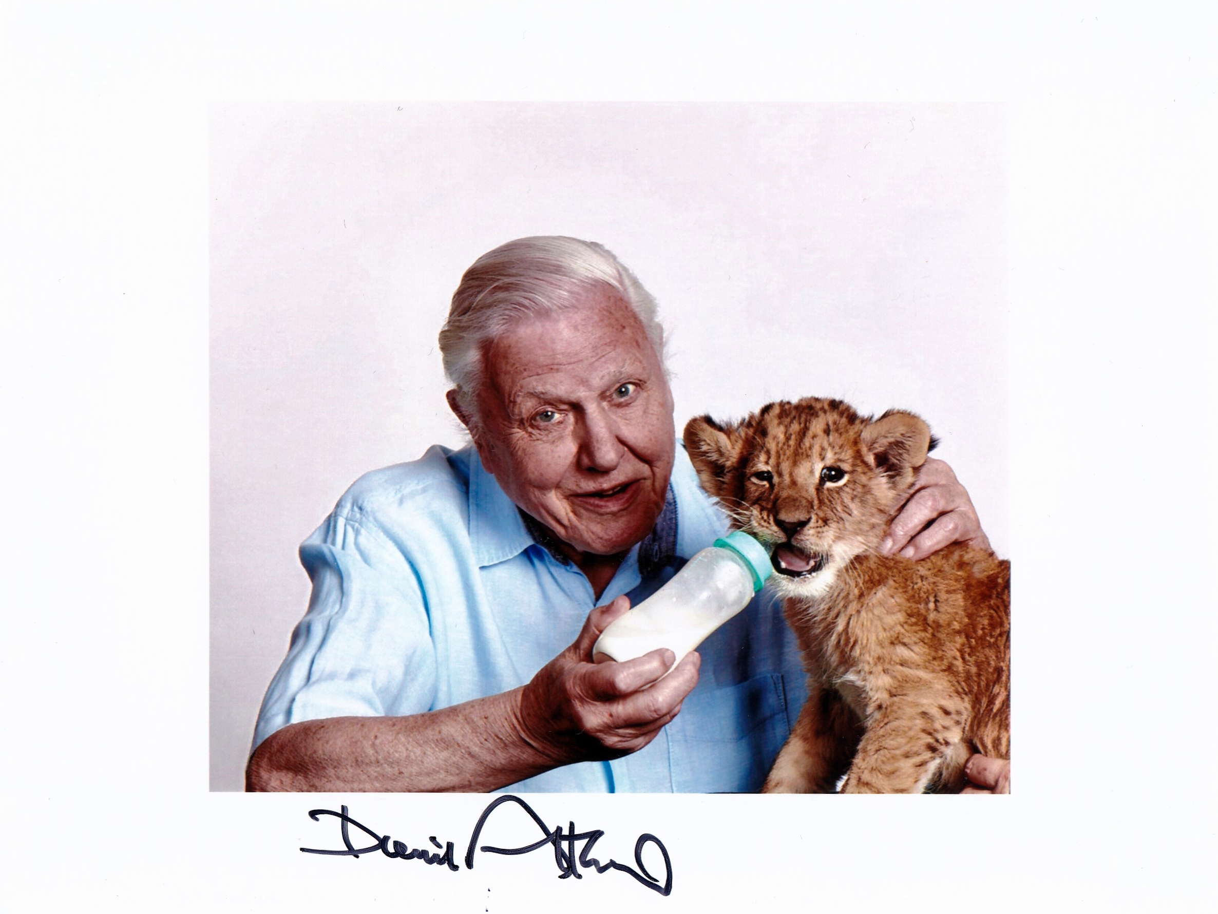 Sir David Attenborough 100 Exhibition